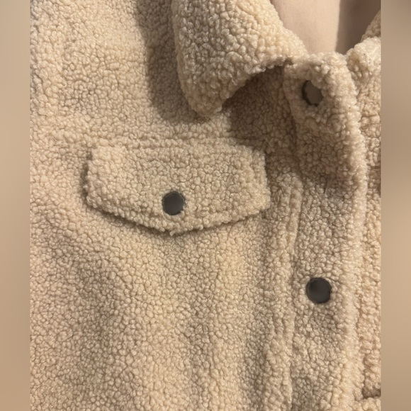 American Threads Beige Sherpa Teddy Cropped Jacket Size Medium/Large - Picture 4 of 5